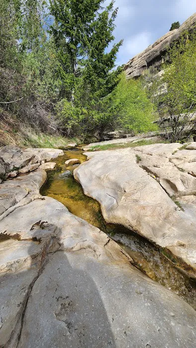 Jones Hole Campground Picture 10
