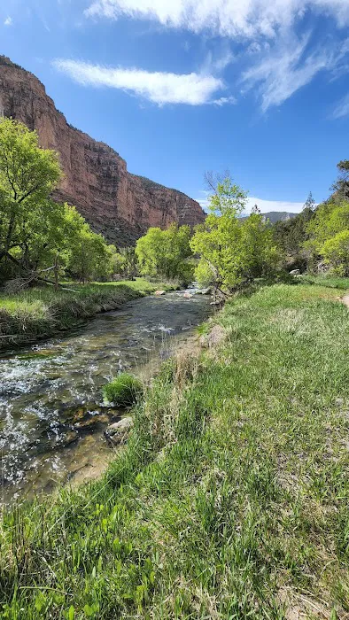 Jones Hole Campground Picture 6