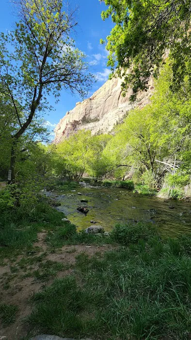 Jones Hole Campground Picture 3