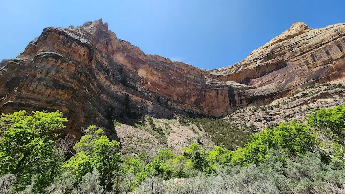 Jones Hole Campground Picture 9