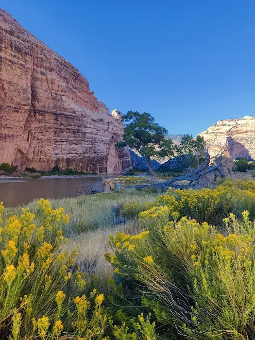 Echo Park Campground Picture 8