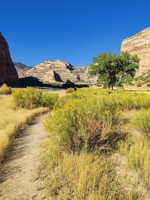 Echo Park Campground Picture 10