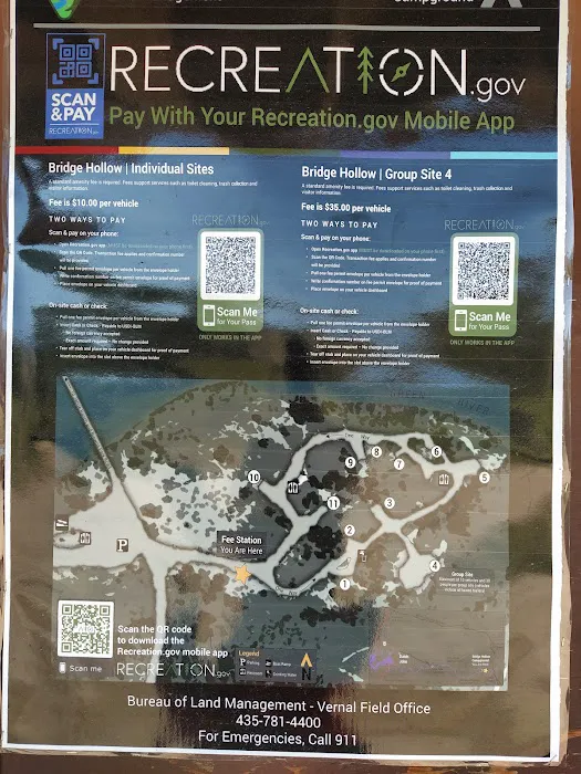 Bridge Hollow Campground Picture 2