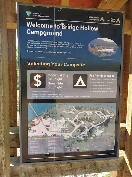 Bridge Hollow Campground Picture 4