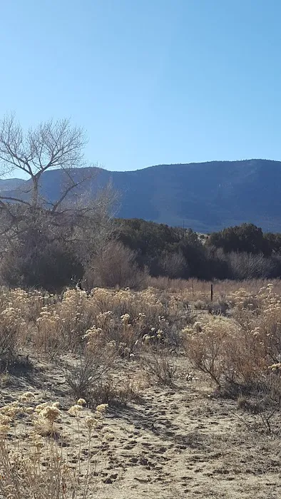 Bridge Hollow Campground Picture 6