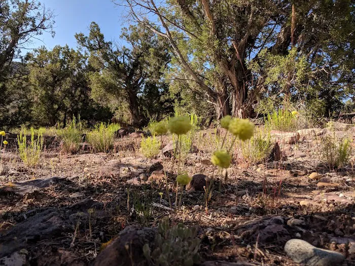 Gates Of Lodore Campground Picture 2