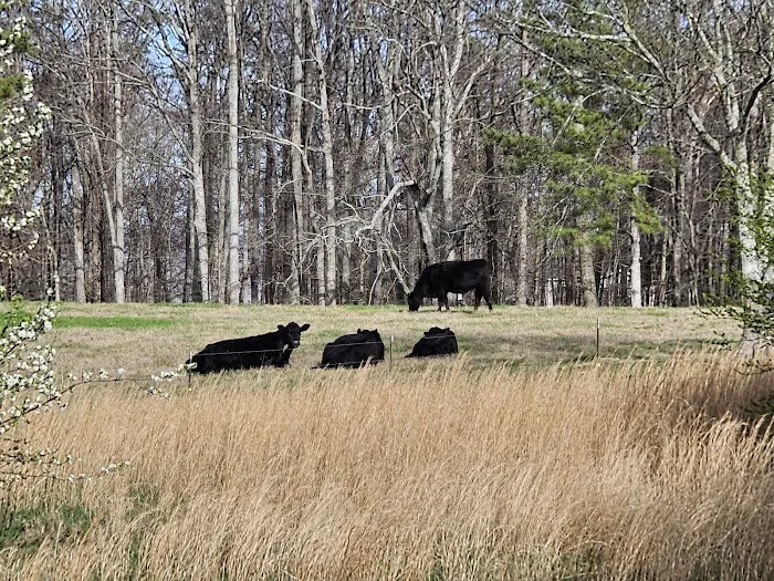 Jones Farm RV Park Picture 7