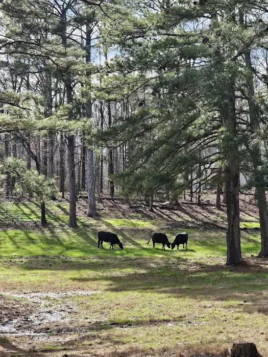 Jones Farm RV Park Picture 1