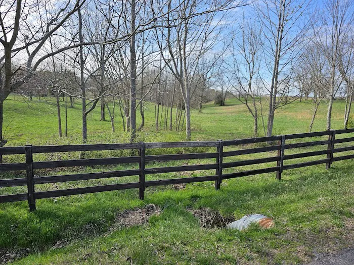 Jones Farm RV Park Picture 6