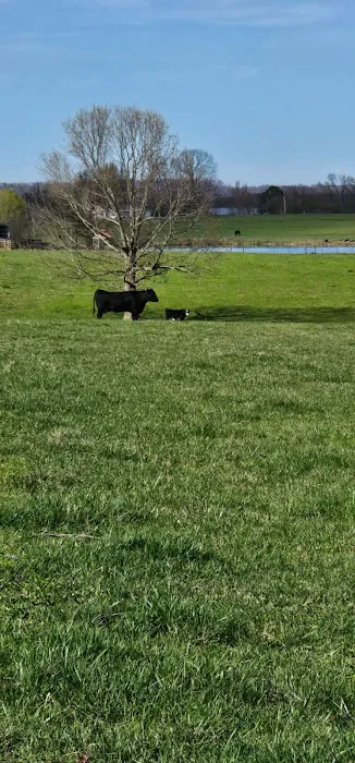 Jones Farm RV Park Picture 4