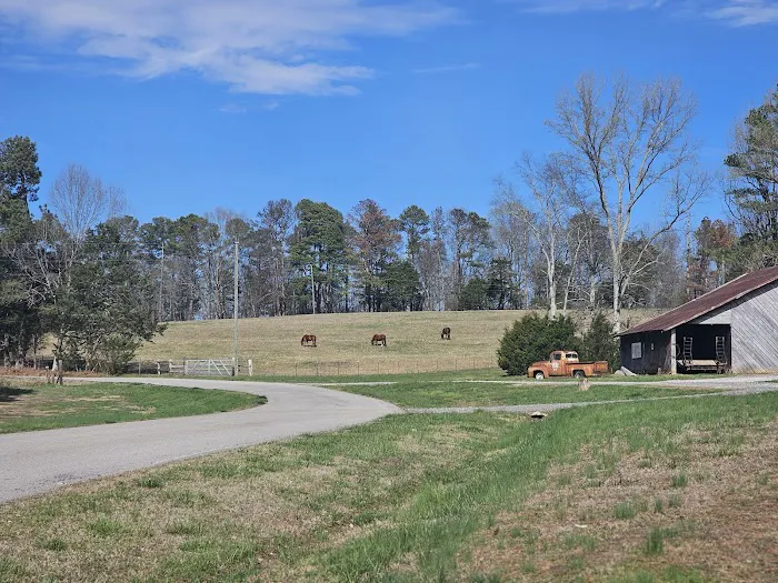 Jones Farm RV Park Picture 5