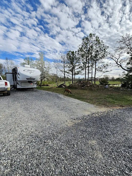 Jones Farm RV Park Picture 2