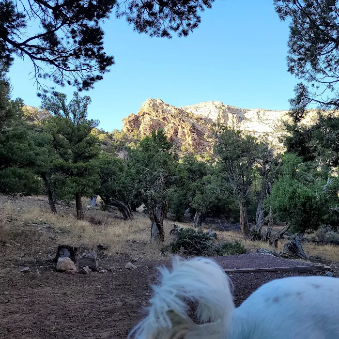 Irish Canyon Campground Picture 6
