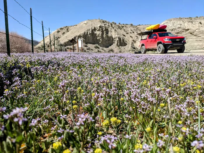 East Cross Mountain Put-In and Campground Picture 2