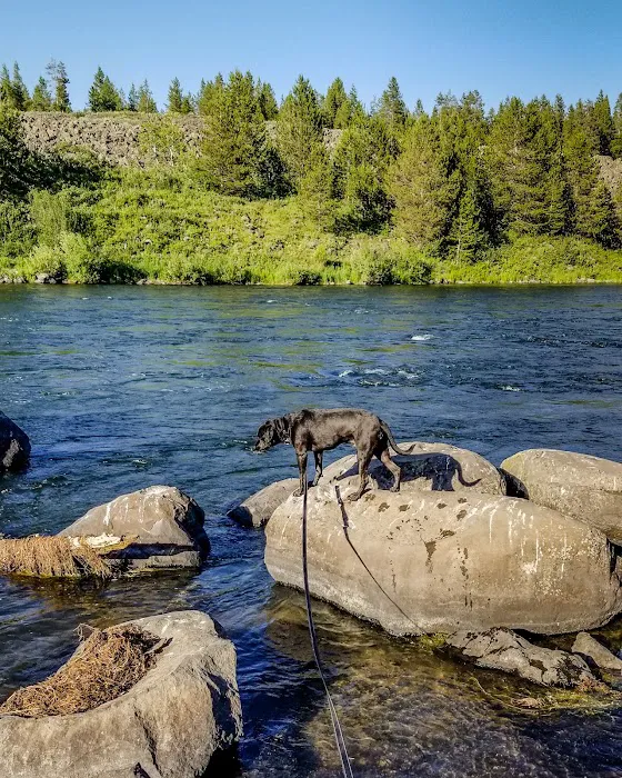 Riverside Campground Picture 3