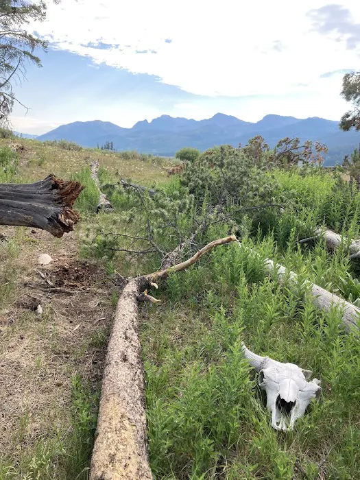 Lower Slough Creek Campground 1 Picture 3