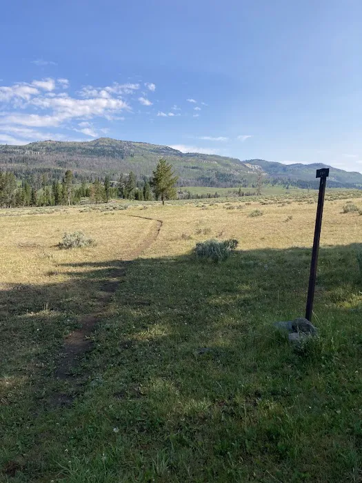 Lower Slough Creek Campground 1 Picture 6