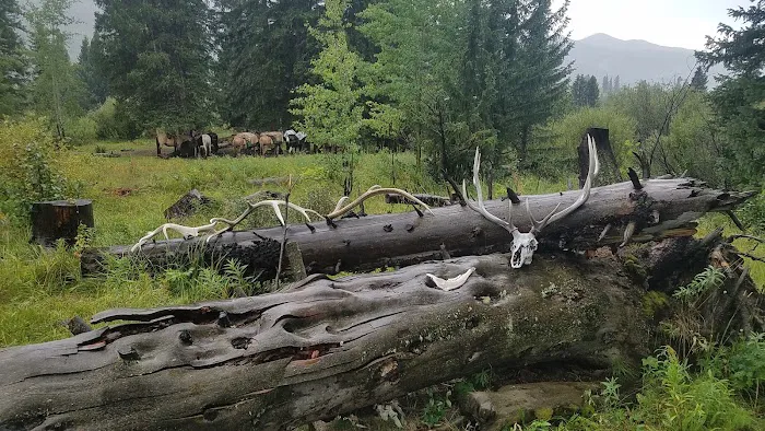 Upper Slough Creek 2S8 Picture 2