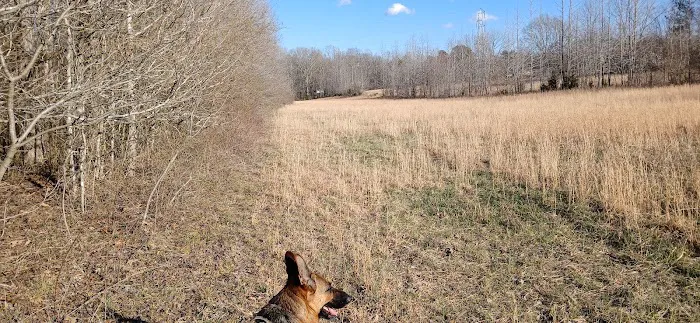 The Hohenwald Hideaway Picture 2