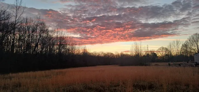 The Hohenwald Hideaway Picture 1