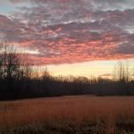 The Hohenwald Hideaway