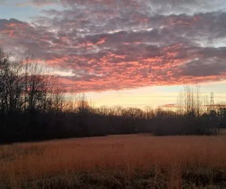 The Hohenwald Hideaway