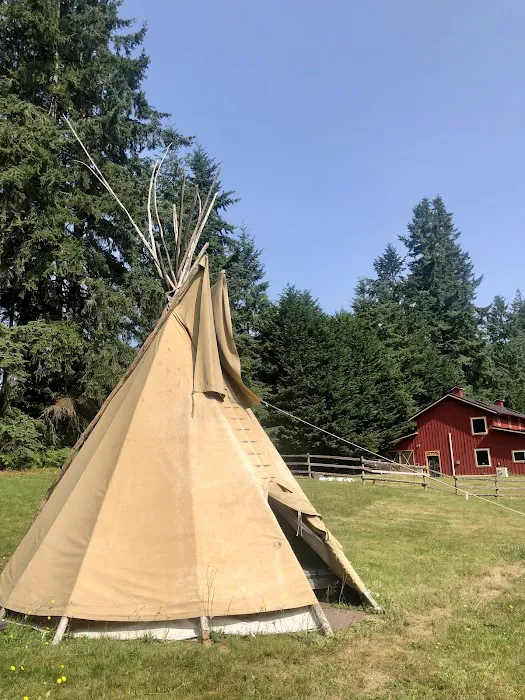 AYH Ranch Campground & Lodging Picture 4