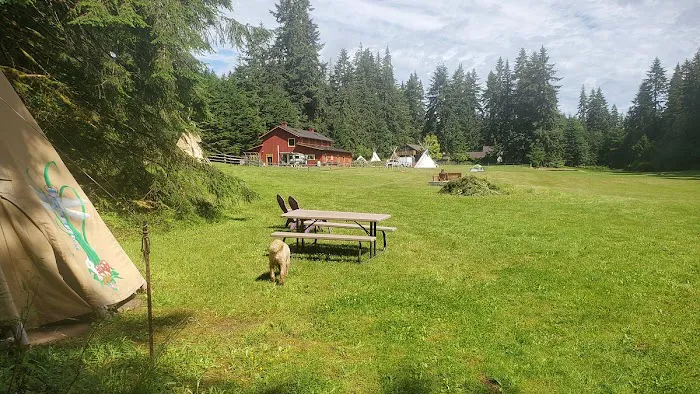 AYH Ranch Campground & Lodging Picture 10