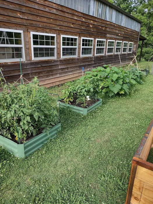 Simpson's Little Creek Rv Park Picture 1