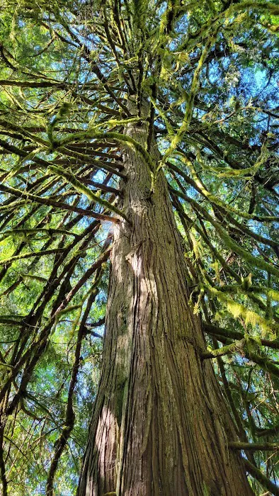 Lutherhaven Lodge Picture 4