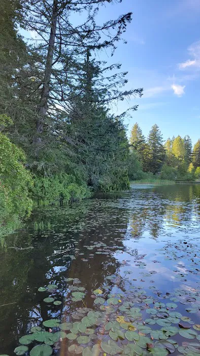 Lutherhaven Lodge Picture 8