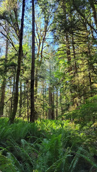 Lutherhaven Lodge Picture 7