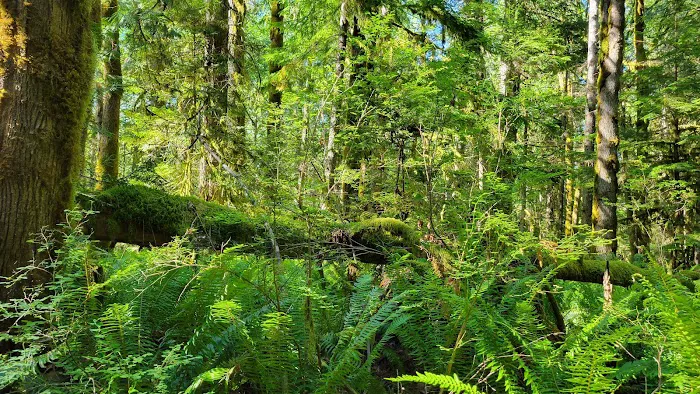 Lutherhaven Lodge Picture 5