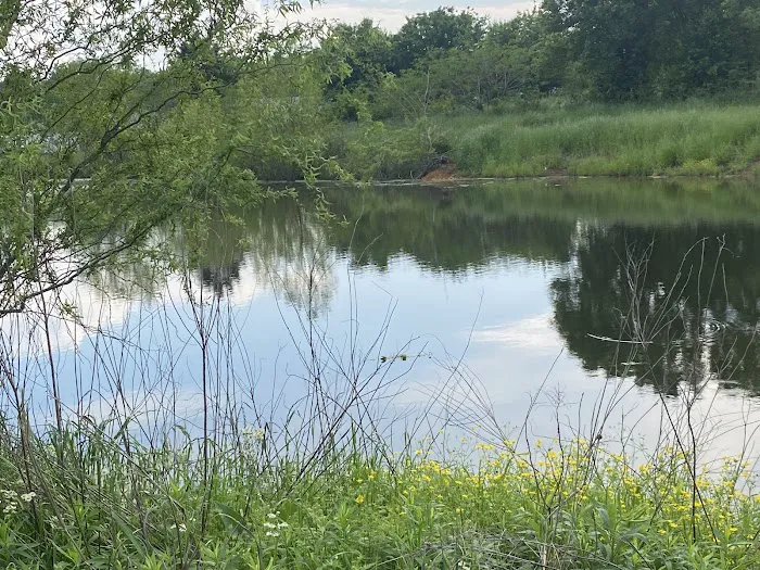 Turtle Pond RV Picture 4