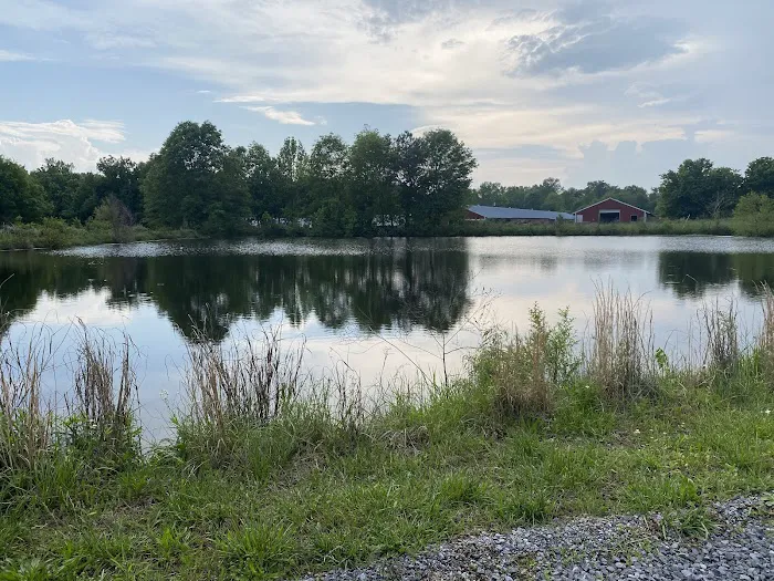 Turtle Pond RV Picture 5