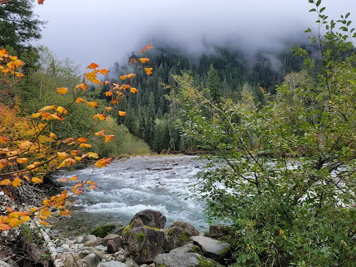 Middle Fork Campground Picture 6