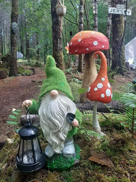 Elfendahl Forest Picture 3