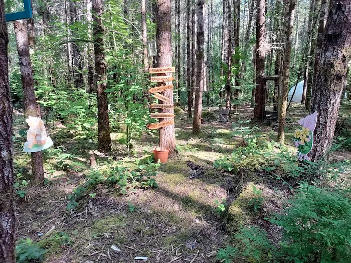 Elfendahl Forest Picture 10