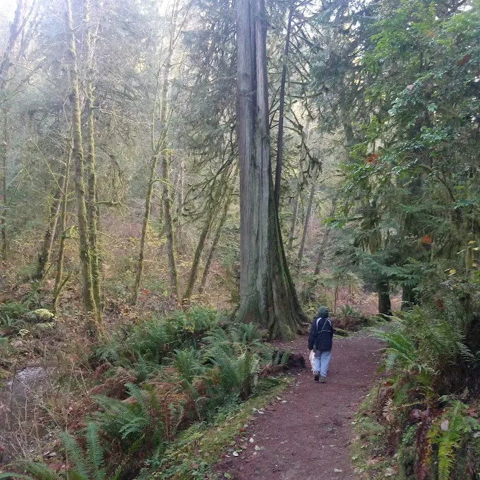 Twanoh State Park Campground Picture 2