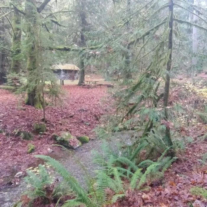 Twanoh State Park Campground Picture 3