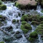 Silver Springs Campground