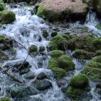 Silver Springs Campground ico