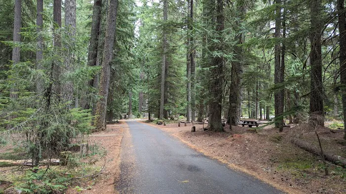 Silver Springs Campground Picture 4