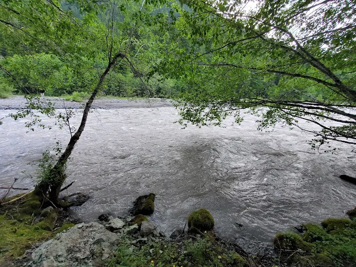 Silver Springs Campground Picture 2