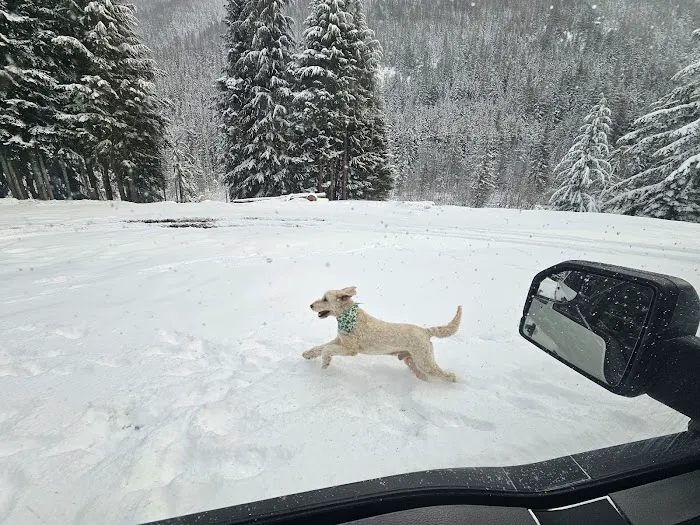 Sand Flats Horse Camp Picture 7