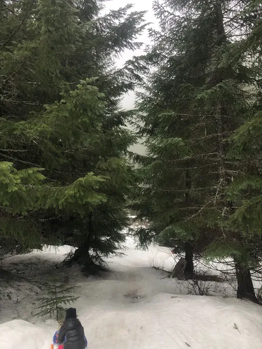 Sand Flats Horse Camp Picture 9