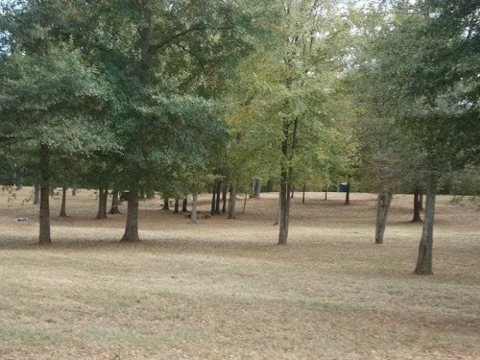 Shadyoaks Campground and R. V. Park Picture 3