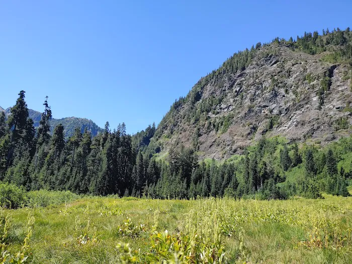 Honeymoon Meadows Picture 2