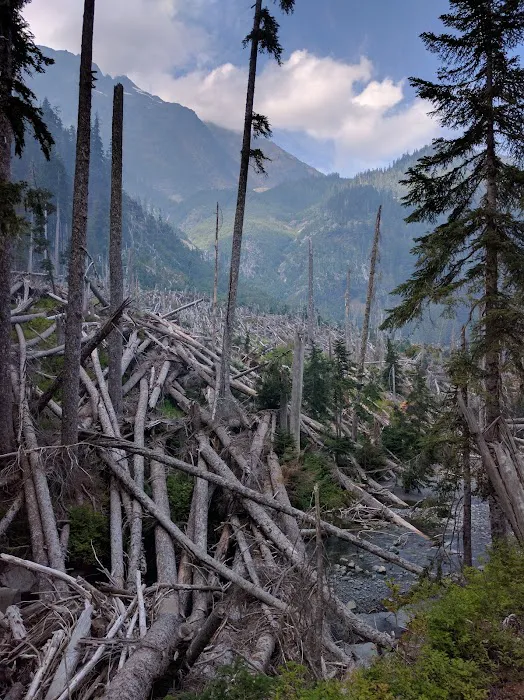 Honeymoon Meadows Picture 10