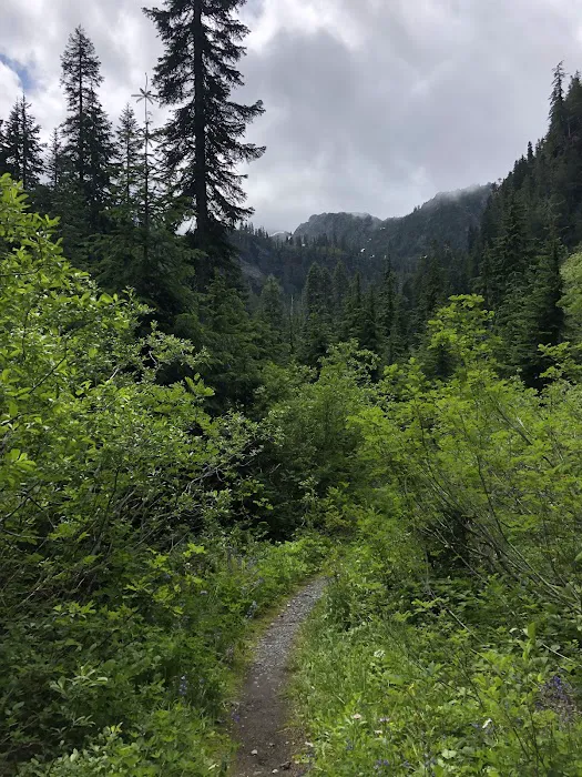 Honeymoon Meadows Picture 9
